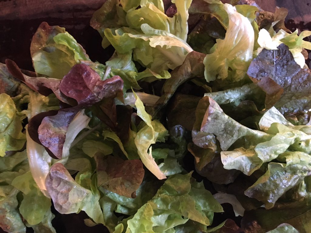 Bio-Salat auf dem Tisch